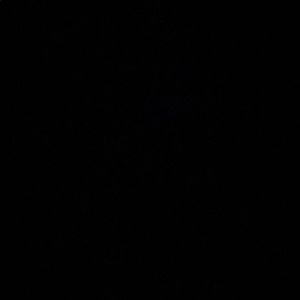 Meet your Posher, Mia